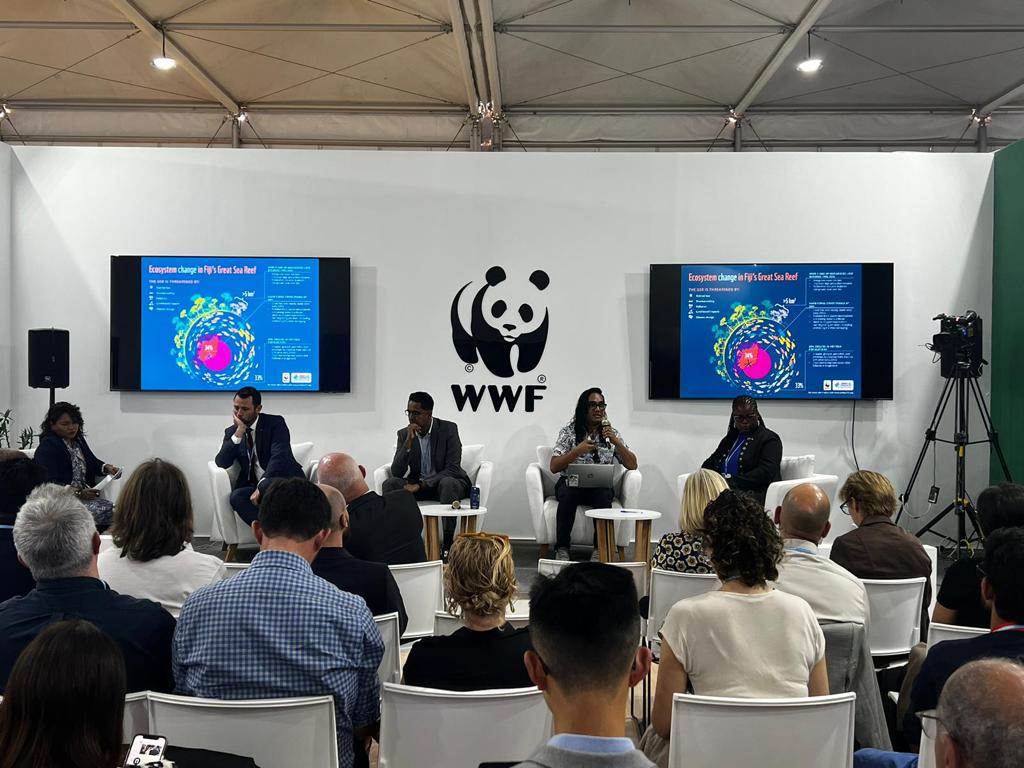 Summary: CoP27 Premiere Coral Reef Event - Adaptation Solutions for Coral Nations